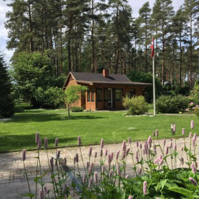 Forest house with outdoor hot tub in Jūrmala